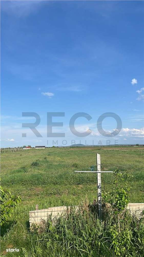 RECO TEREN VANZARE NOJORID - Imagine principală: 2/2