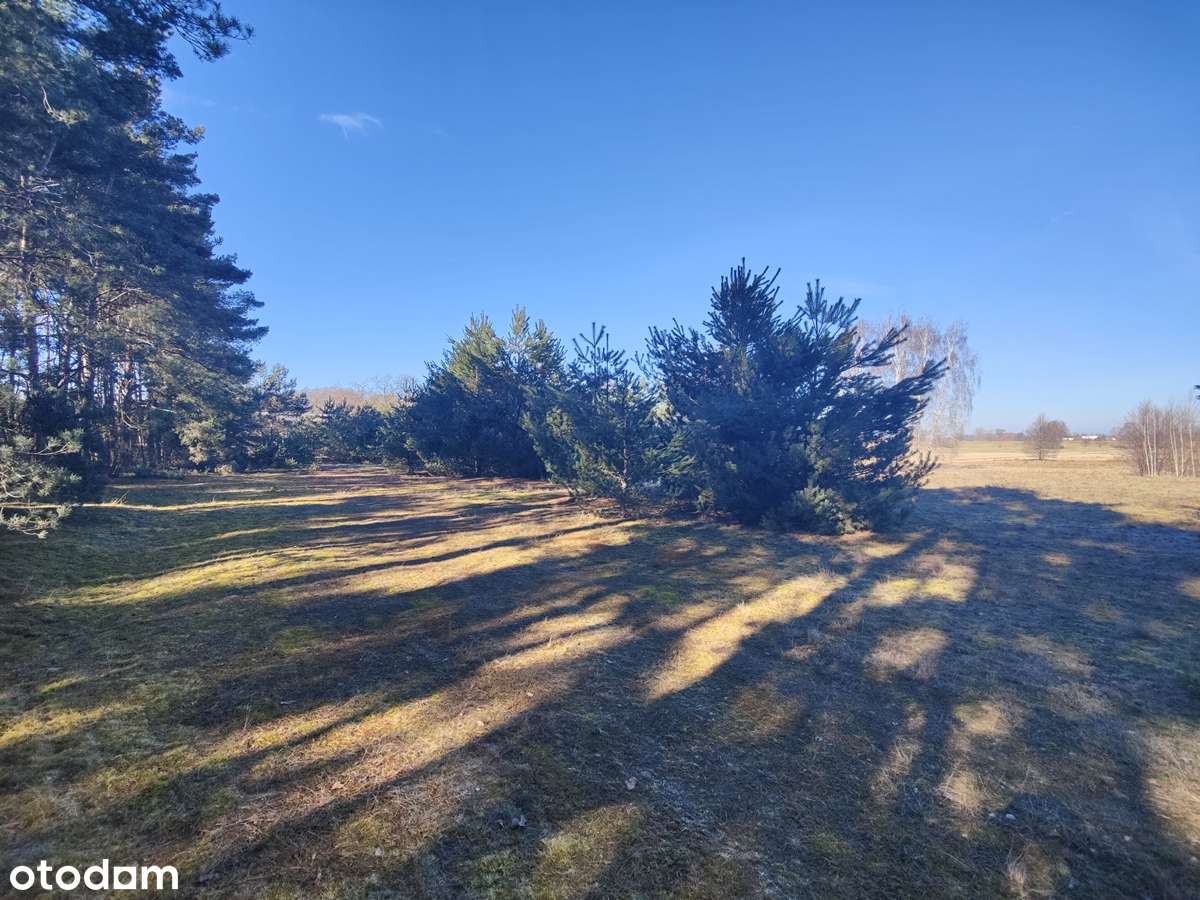 Na sprzedaż duża działka  w sąsiedztwie lasu i łąk-gm. Krzymów-7