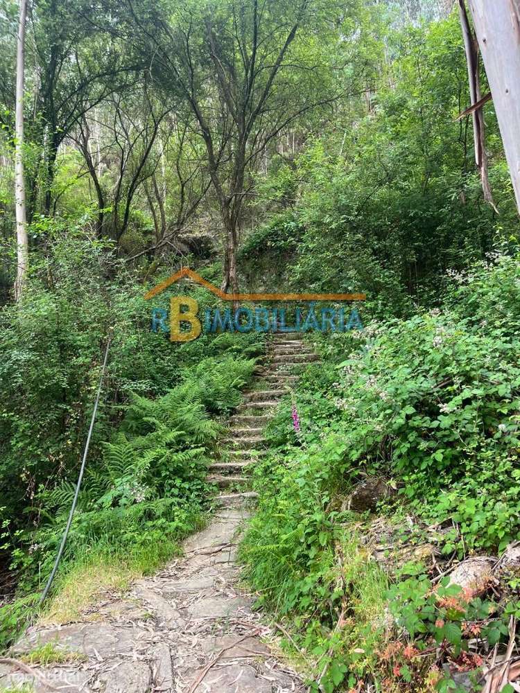 3 moradias em Rio de Frades - Arouca-13