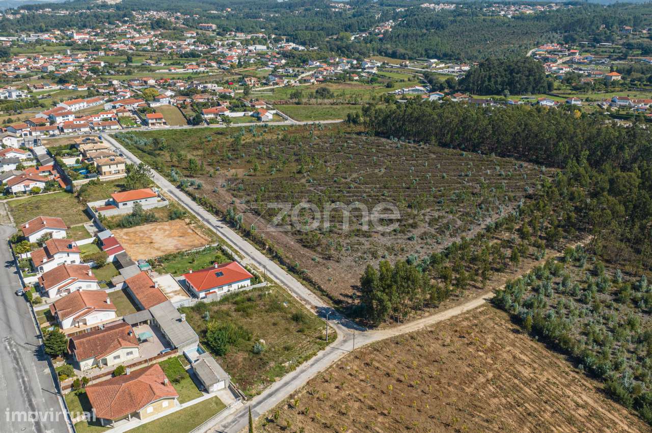 Terreno de 36892m² com PIP aprovado em Oliveira de Azeméis - Grande imagem: 3/16