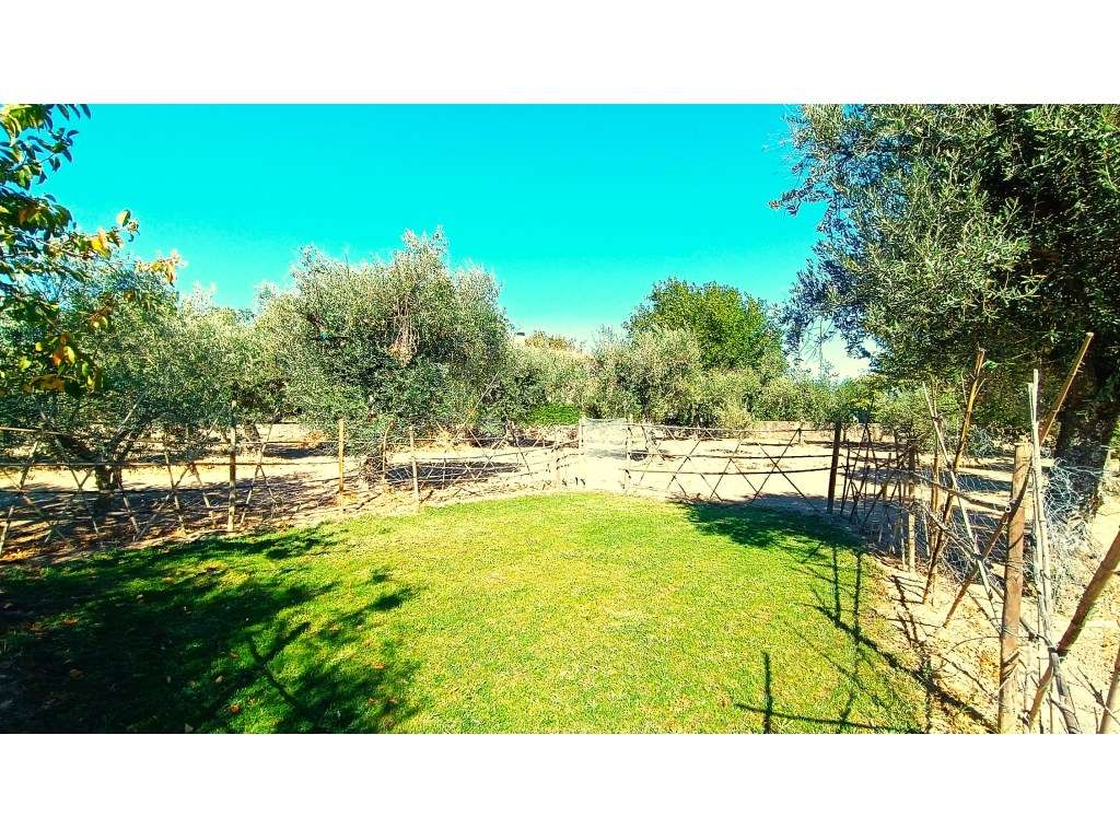 M ORADIA T3 COM PISCINA COBERTA , QUINTAL E 2 GARAGENS, BELMONTE, B...-19