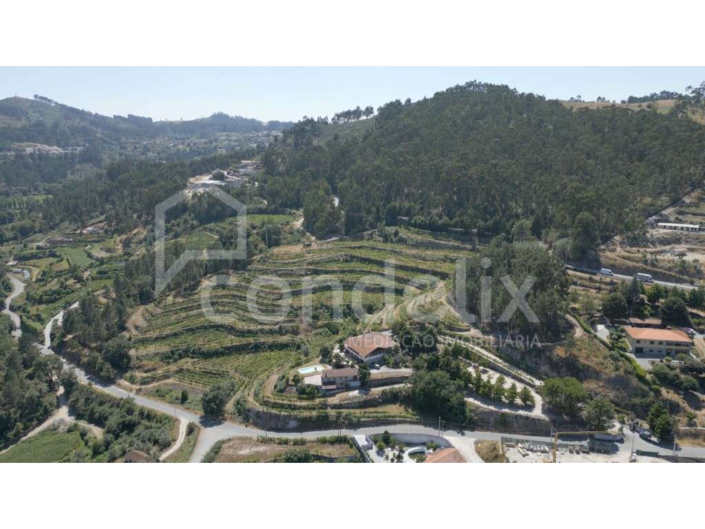 Quinta - Herdade Amarante - Grande imagem: 2/60