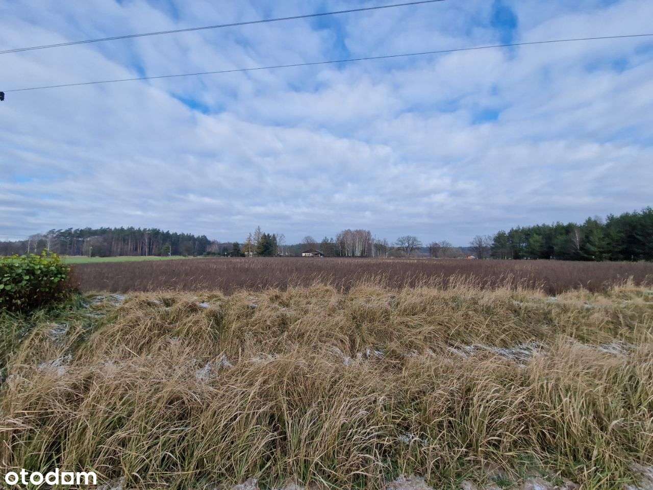 Atrakcyjne działki w Grabach gm. Czerniejewo - Pełny obrazek: 5/11