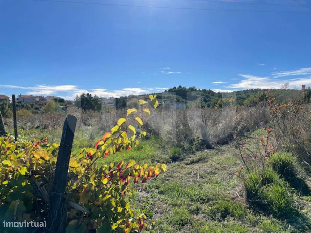 Terreno Agrícola Sustentável com Certificação Biológica em Orjais, ...-11