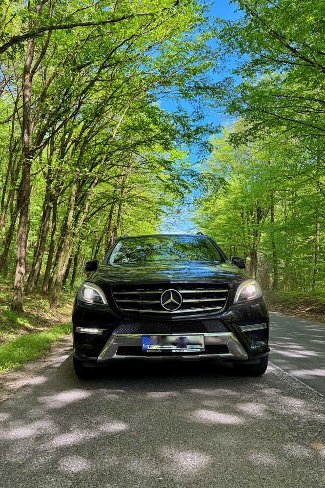 Mercedes-Benz ML W166 [2011 - 2015] 250 BlueTEC 4MATIC Aut 2014