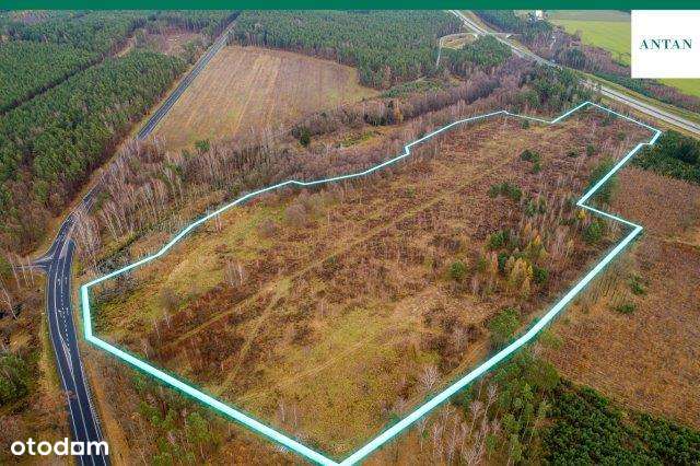 MAGAZYNY/PRODUKCJA, OZE - Pełny obrazek: 3/14