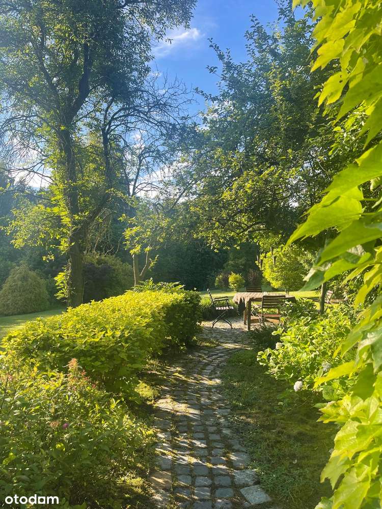 Bezpośrednio  Katowice Kostuchna 200/300m2 Piękny ogród - Pełny obrazek: 5/20