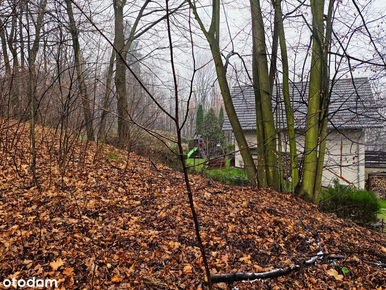 Mała działka budowlana w Górach Opawskich-6