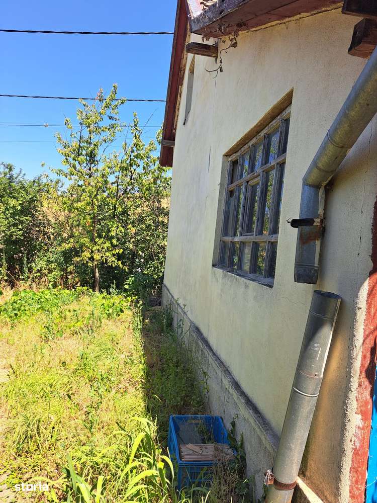 Casă Oncea str.Paleului 2 camere,hol,bucătărie,terasă,SC 80mp,ST 800mp - Imagine principală: 4/11