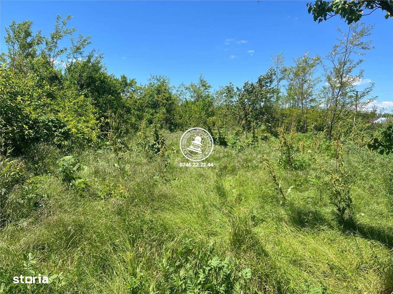 Casa, 45 m²,  - Imagine principală: 4/5