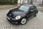 Volkswagen Beetle - 21