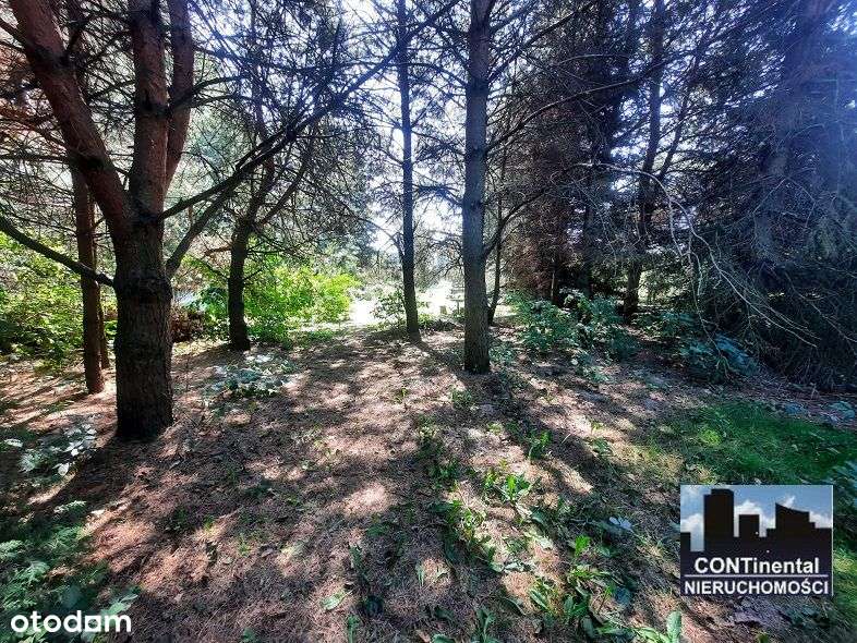 Działka budowlano rolna Łapy Kołpaki 3185mkw - Pełny obrazek: 4/7