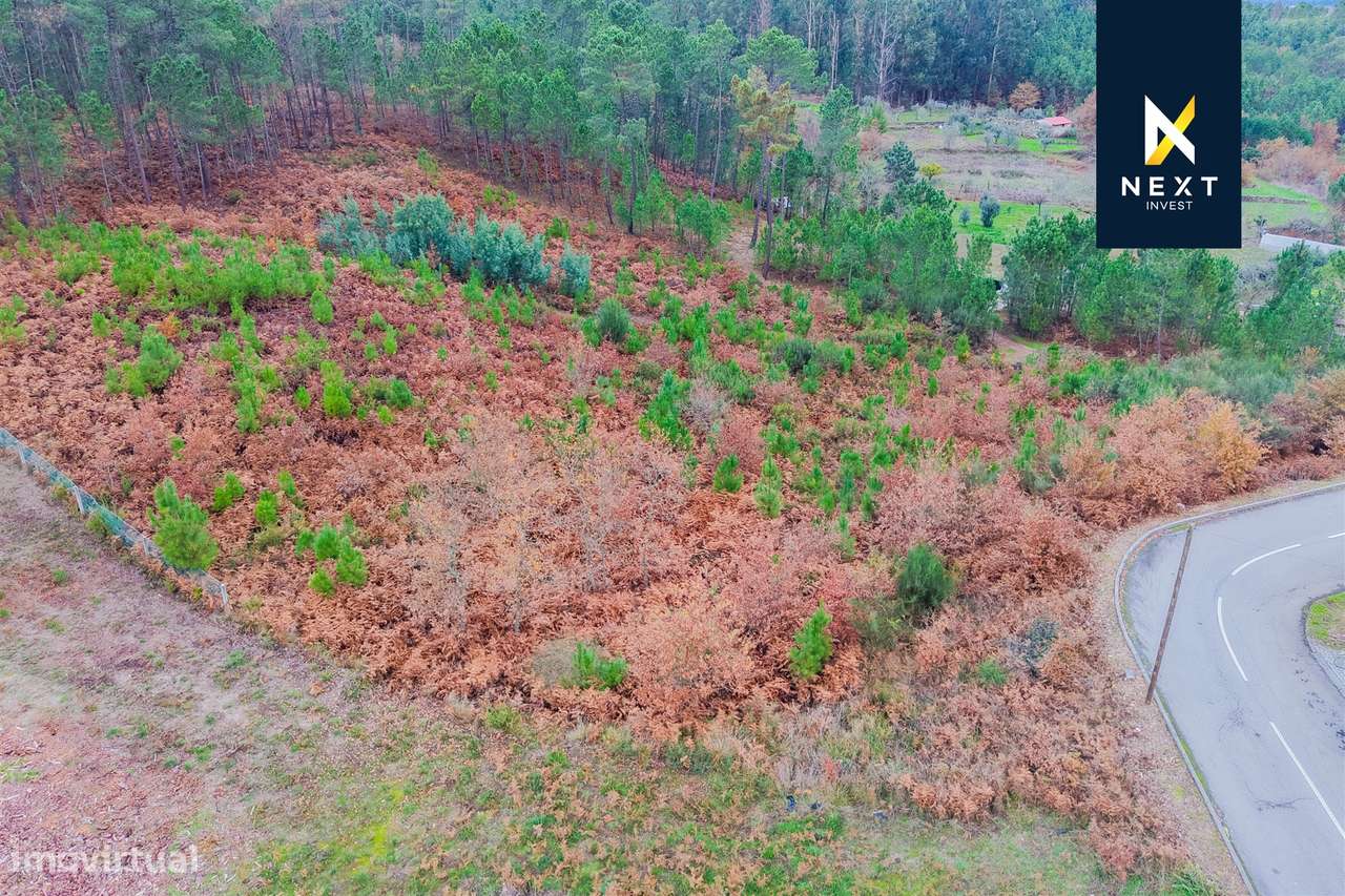 Terreno Urbano para venda na Sernada, Viseu-6
