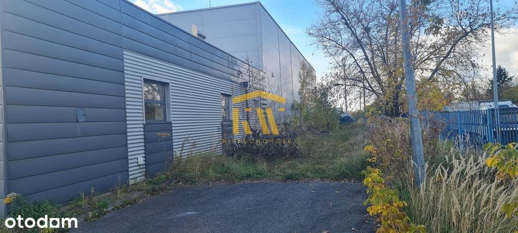 Przestrzeń z biurami oraz salą sprzedażową - Pełny obrazek: 4/15