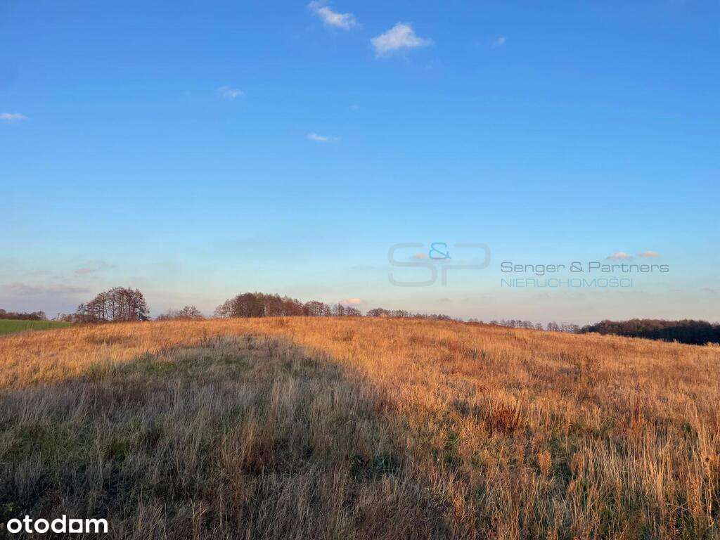 Piękna działka 1226 m2 Morasko-1