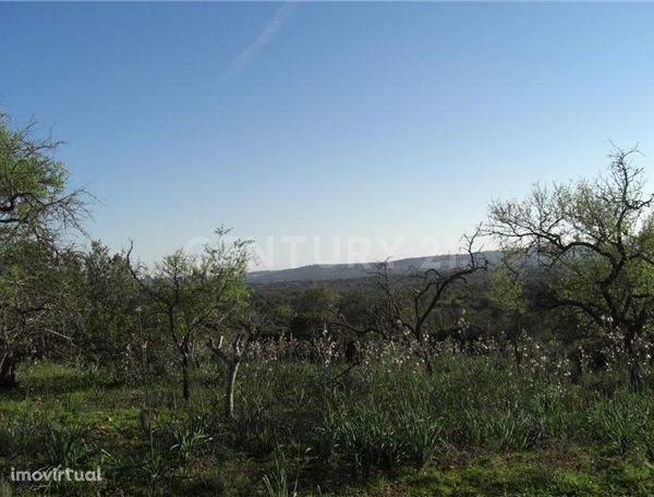 Terreno Rustico, com 57.870 m2 situado em Alte, Loulé