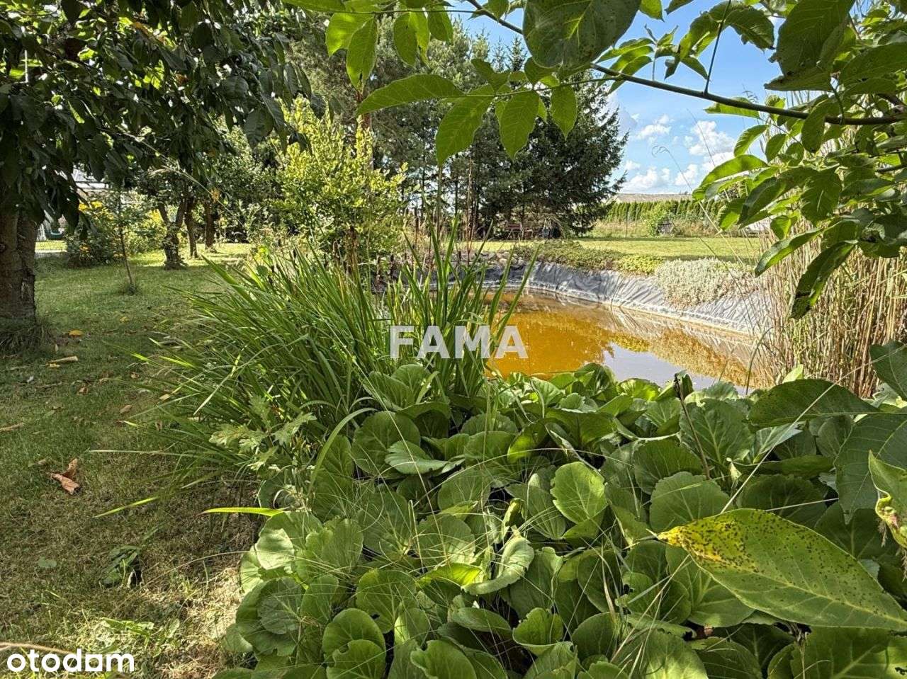 Działka 1000 mkw, budowlana, zagospodarowana - Pełny obrazek: 4/4