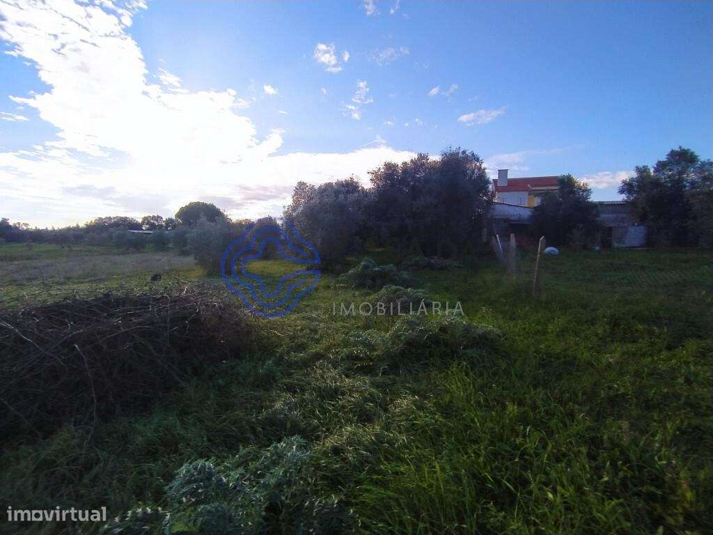Terreno com ruína para reconstruir na cidade de Tomar no Centro de Por - Grande imagem: 5/37