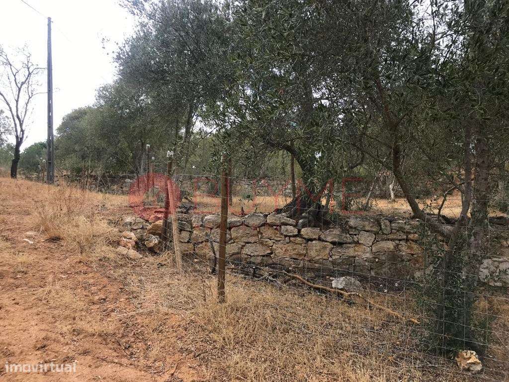 Terreno Misto com Potencial Residencial e Rústico em Boliqueime - Grande imagem: 4/16