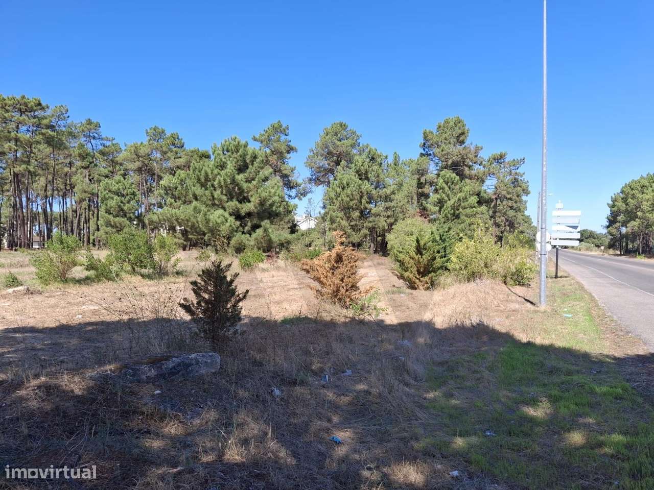 Oportunidade Única de Investimento — Terrenos no Pinhal de Negreiros - Grande imagem: 2/7