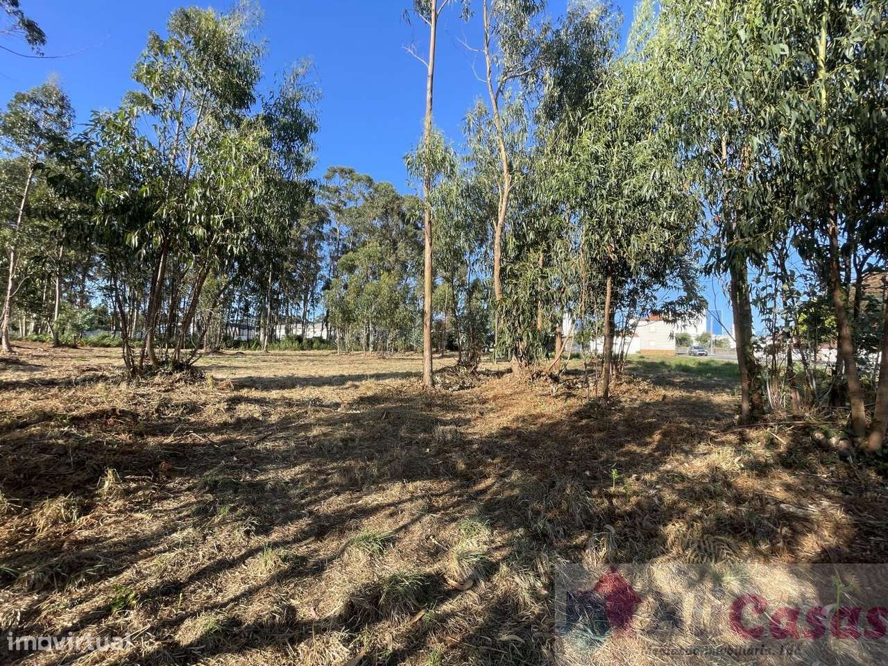 Excelente Terreno P/Construção em Altura-25