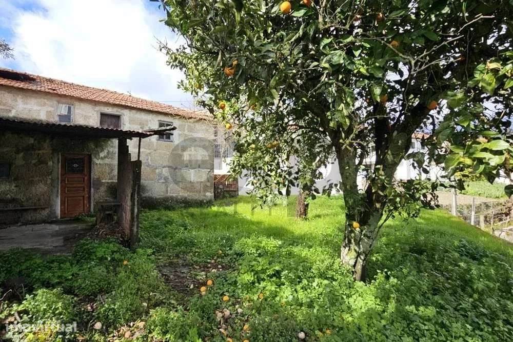 Duas Moradias (T2+T1) com logradouro em Santa Cruz do Douro – Baião - Grande imagem: 1/25