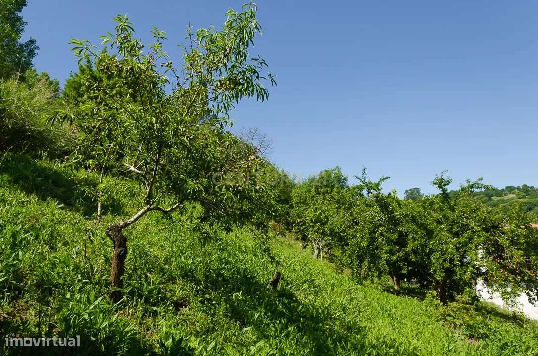 Prédio com Vista Panorâmica na zona Histórica de Alcobaça-12