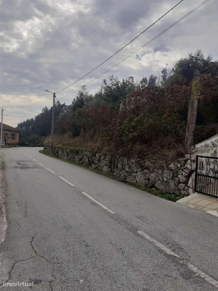 Terreno, Penafiel, Luzim e Vila Cova-5