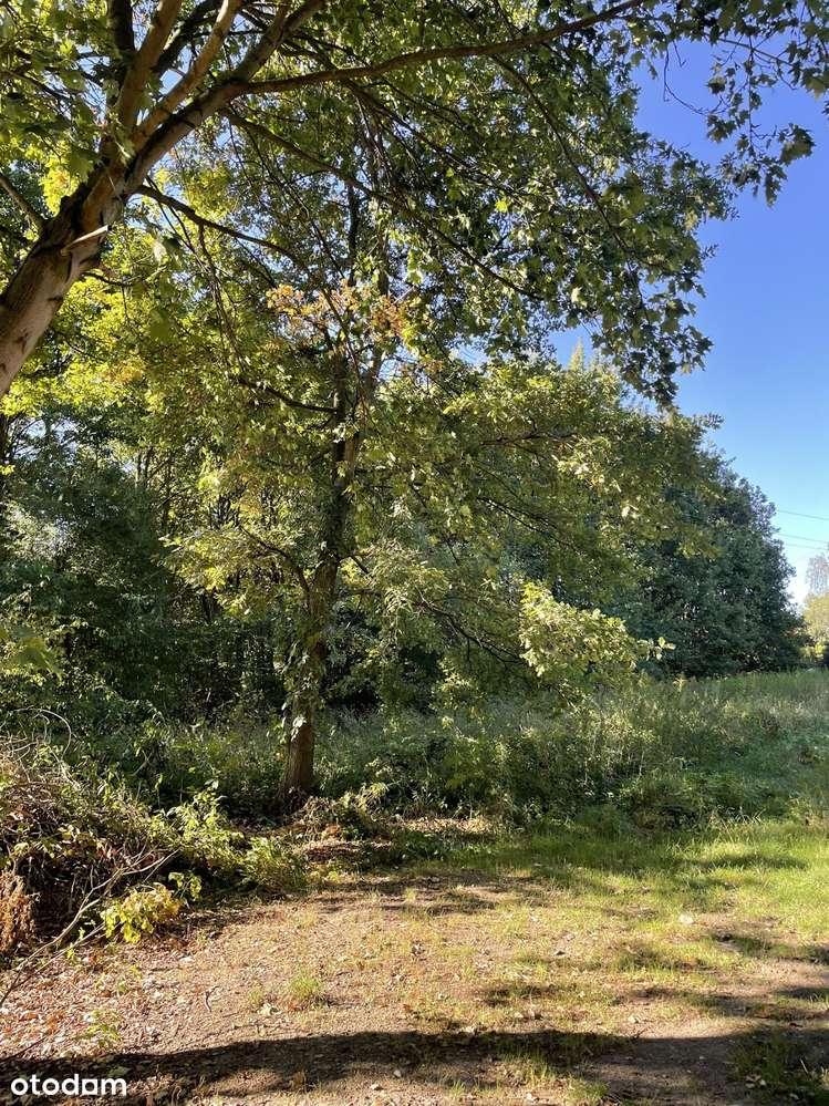 Działka 2700 m² w spokojnej okolicy z mediami-5