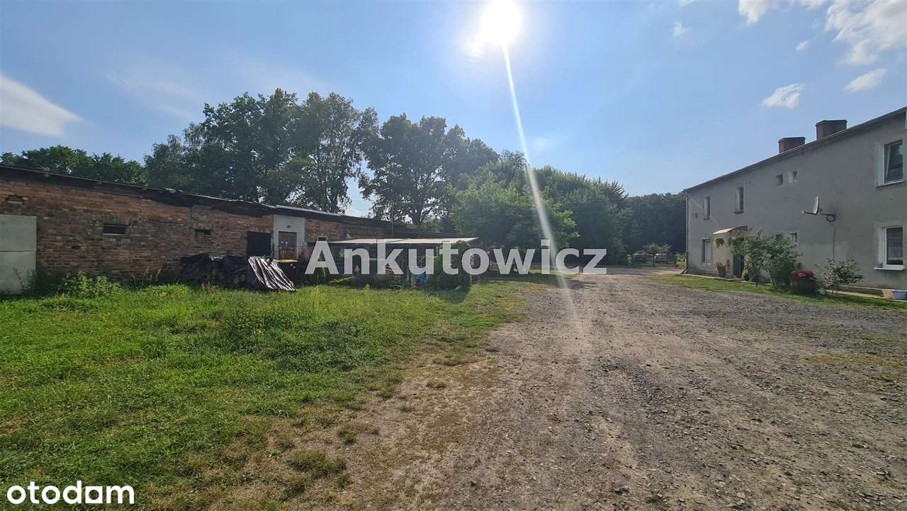 Okazja - parter - remont w 2022 - cena 2.777 zł/ m-5