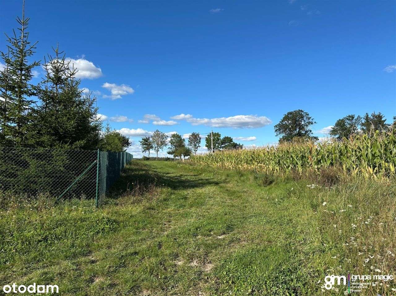 Działka Kamionki Małe 1000m2 - warunki zabudowy - Pełny obrazek: 5/9