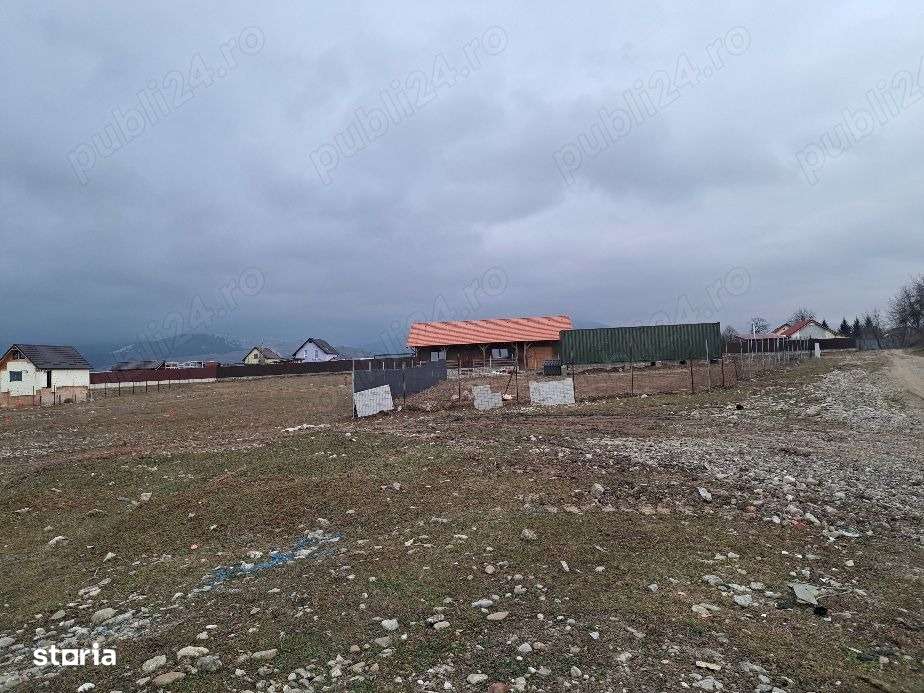 Teren 1450m- Carpinis/Tarlungeni, intravilan - Imagine principală: 5/15
