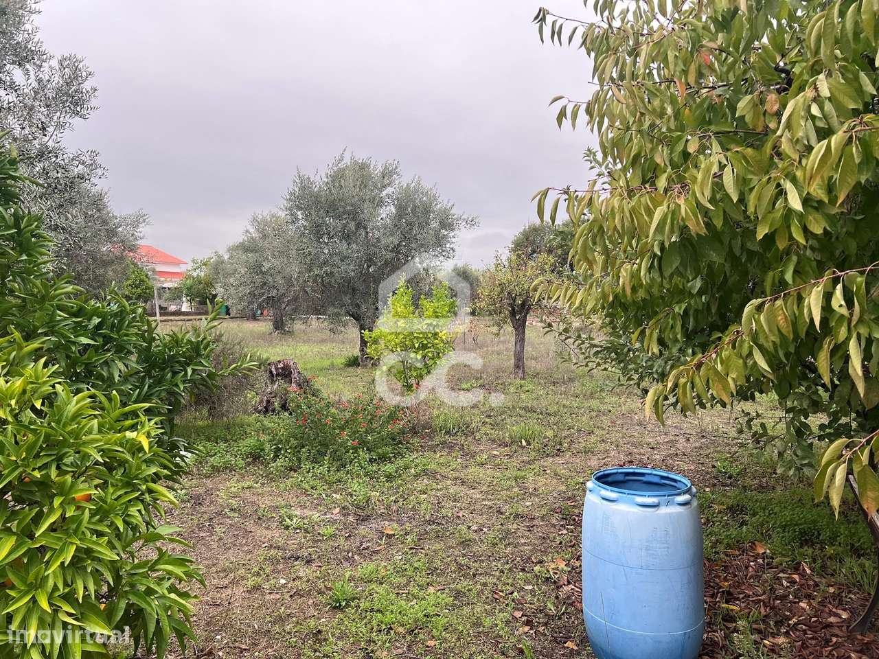 Quintinha no Pego - Grande imagem: 5/10