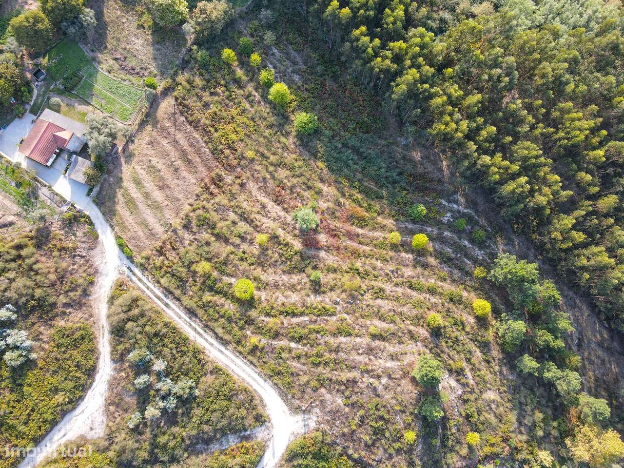 Terreno Rústico com 8.250 m² em Travanca, Amarante - Grande imagem: 4/16