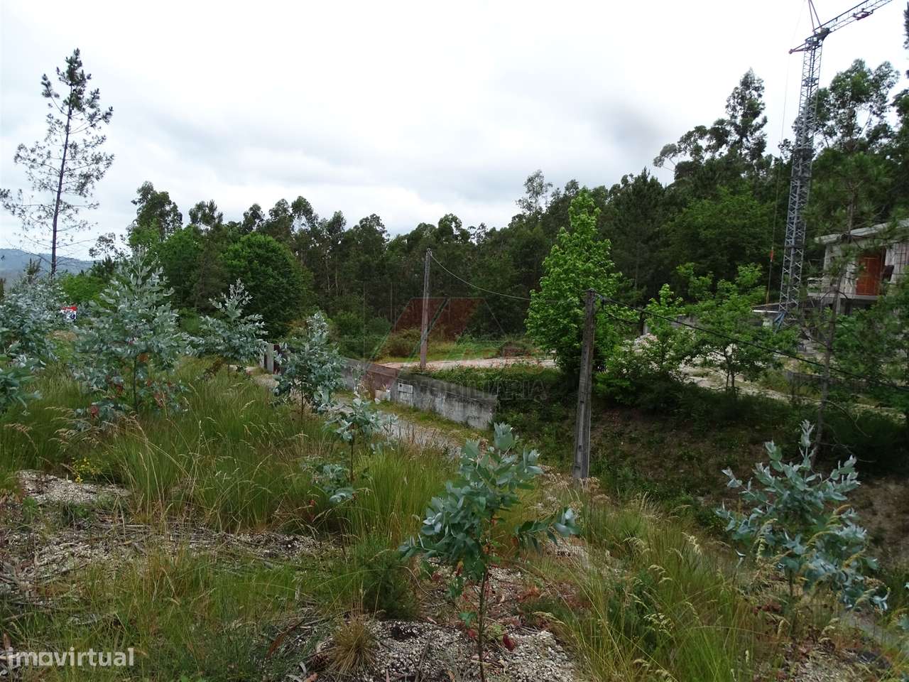 TERRENO COM ÓTIMAS ÁREAS EM SILVARES SÃO MARTINHO - FAFE! - Grande imagem: 5/20