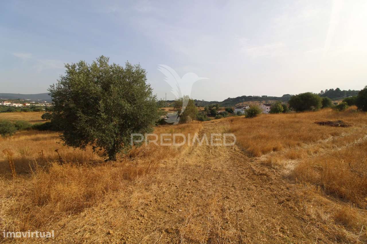 Terreno Misto - Pousados, Alcanena - Grande imagem: 4/16