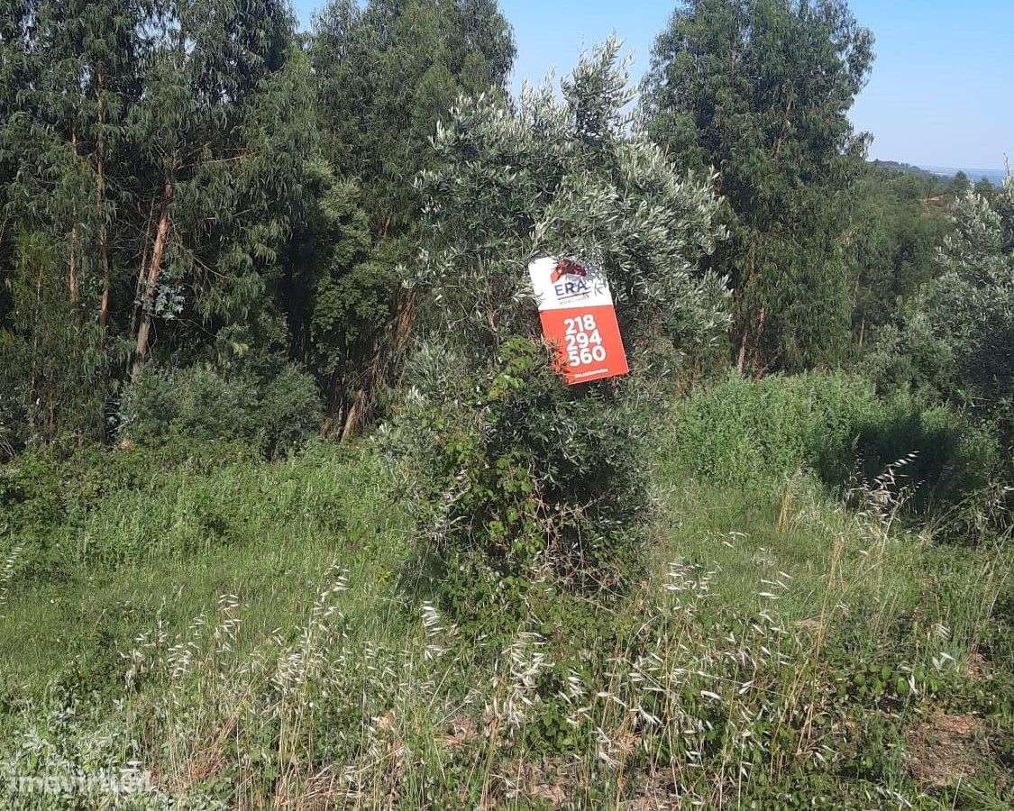 Terreno urbano 680mt2- Vila Nova da Barquinha - Grande imagem: 4/6