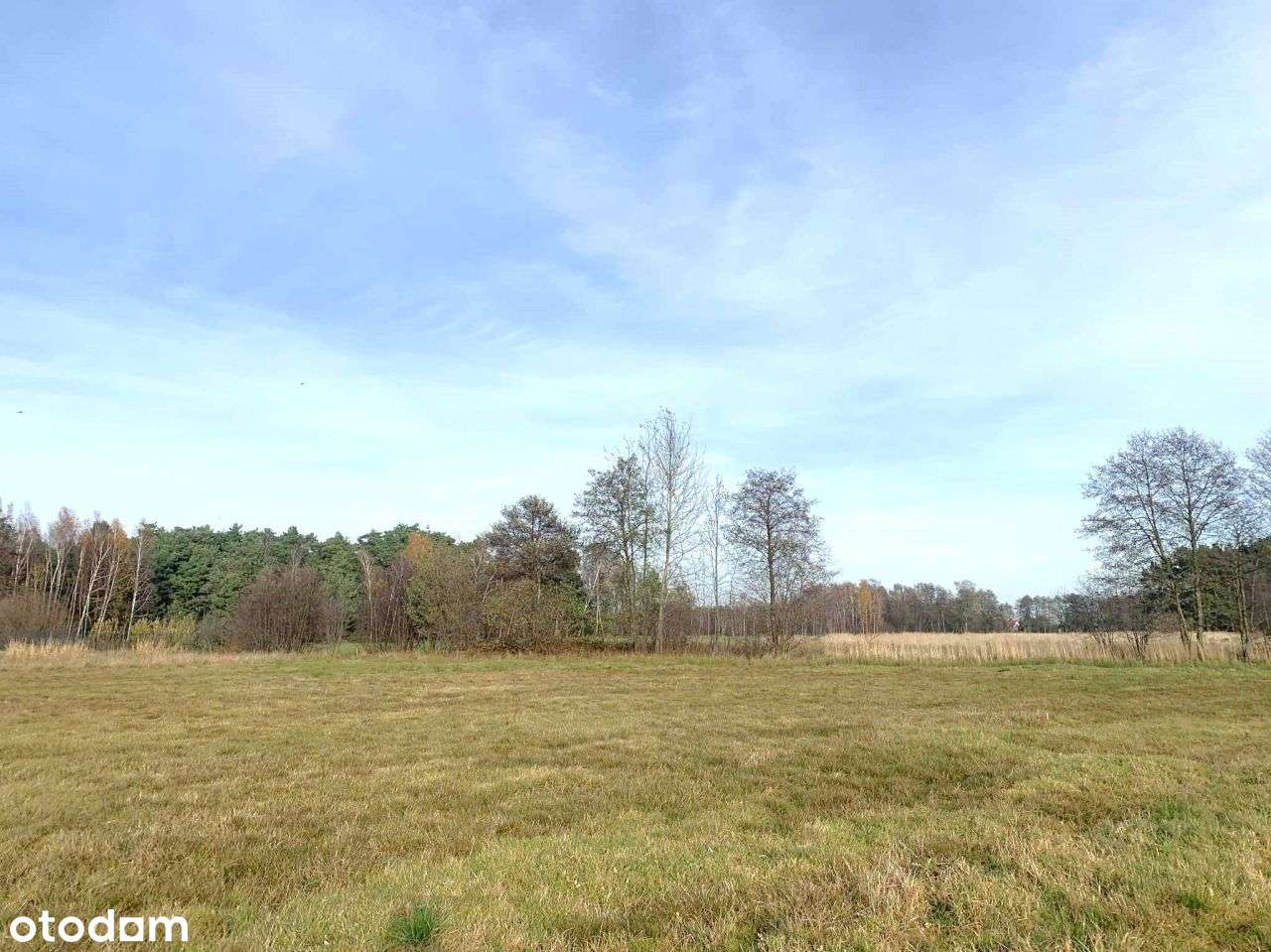 Działka budowlana na sprzedaż Rogów gm. Przykona - Pełny obrazek: 2/8