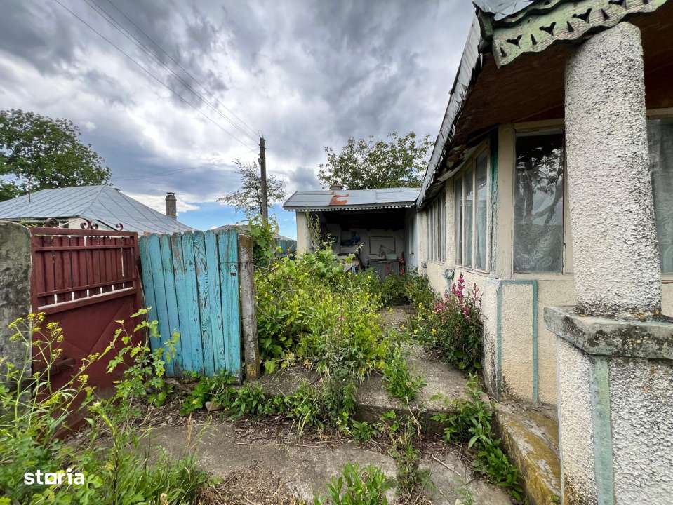 Casa + teren 4430 mp, vie si pomi fructiferi, 22 km de Tecuci-13