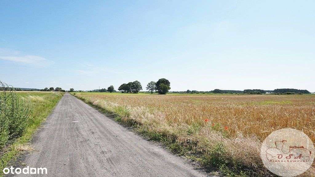 Działka z Mpzp Borkowice k. Mosiny-4