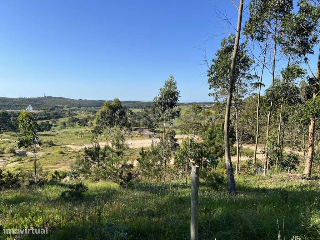 Terreno com loteamento, com 214760m2, perto da entrada da A8, em To... - Grande imagem: 2/24