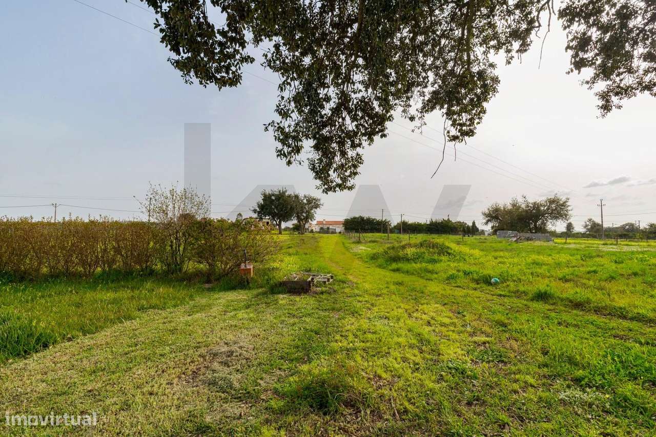 Monte Alentejano de Charme com 4 quartos | 1,3 ha | Litoral Alentejano-37