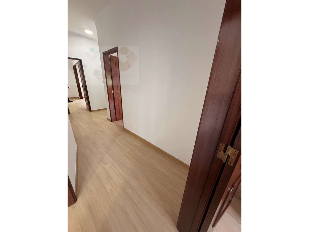 Ótimo T1 - Em fase de Remodelação total-13