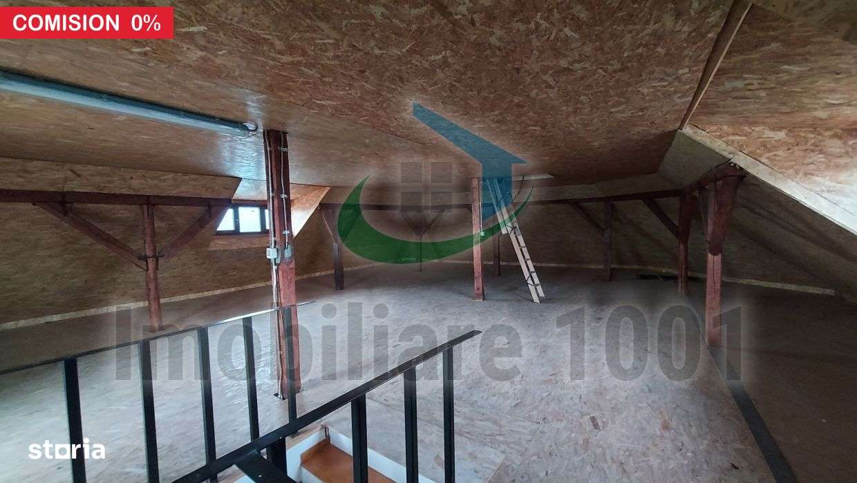Imobil multifunctional, Baia Mare, Centrul Vechi, 353 mp, comision 0-16