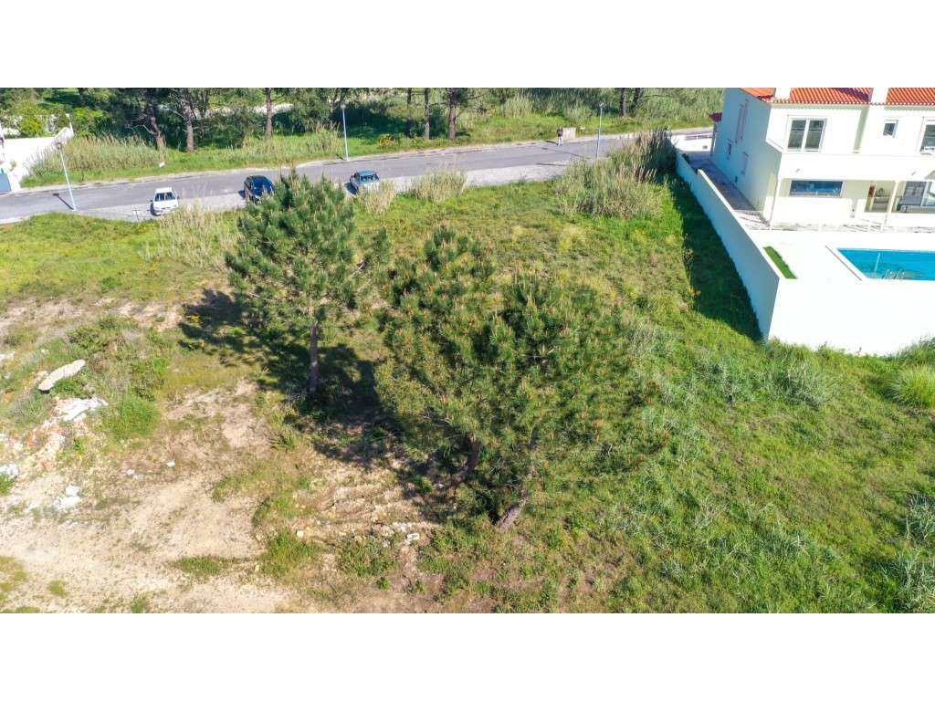 Lote para construção - Caldas da Rainha - Grande imagem: 4/5