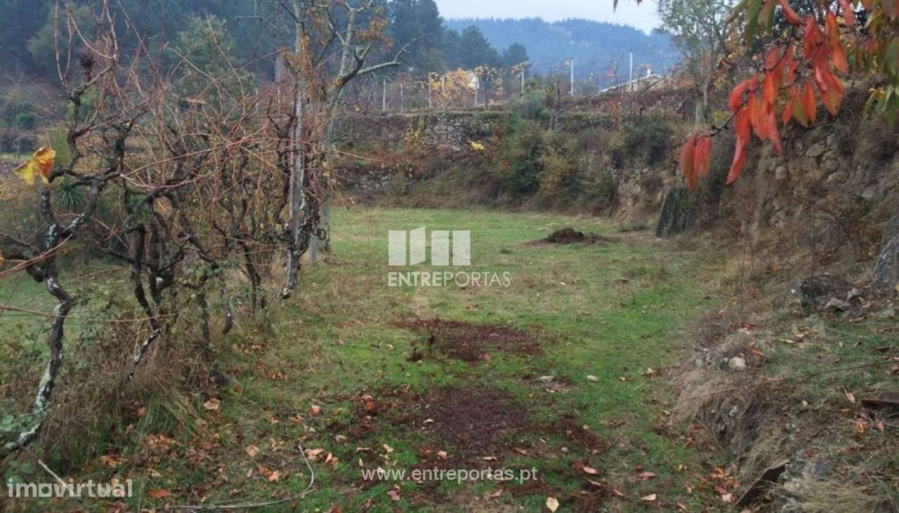 Venda Terreno, Cinfães - Grande imagem: 3/24