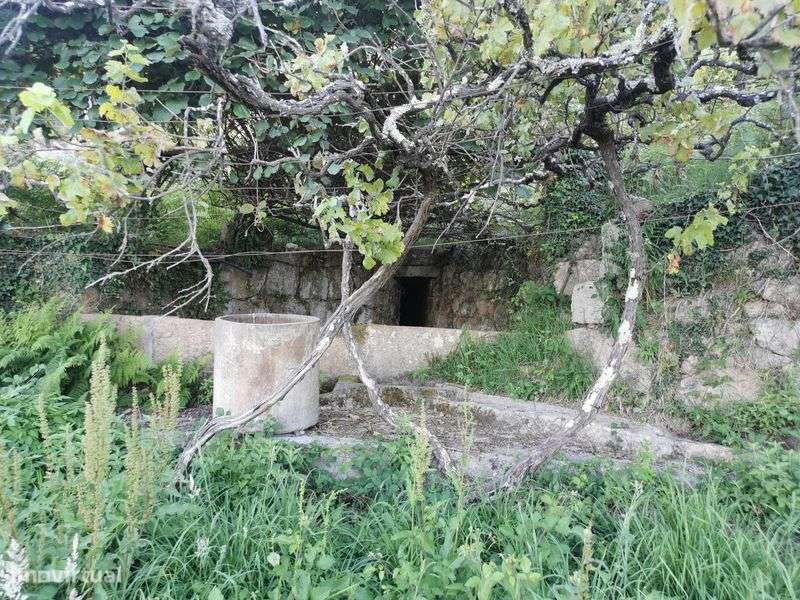 Quintinha com vistas para o rio Douro - Grande imagem: 5/8