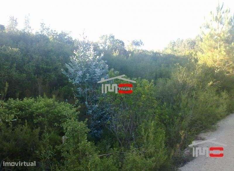 Terreno - Grande imagem: 4/8