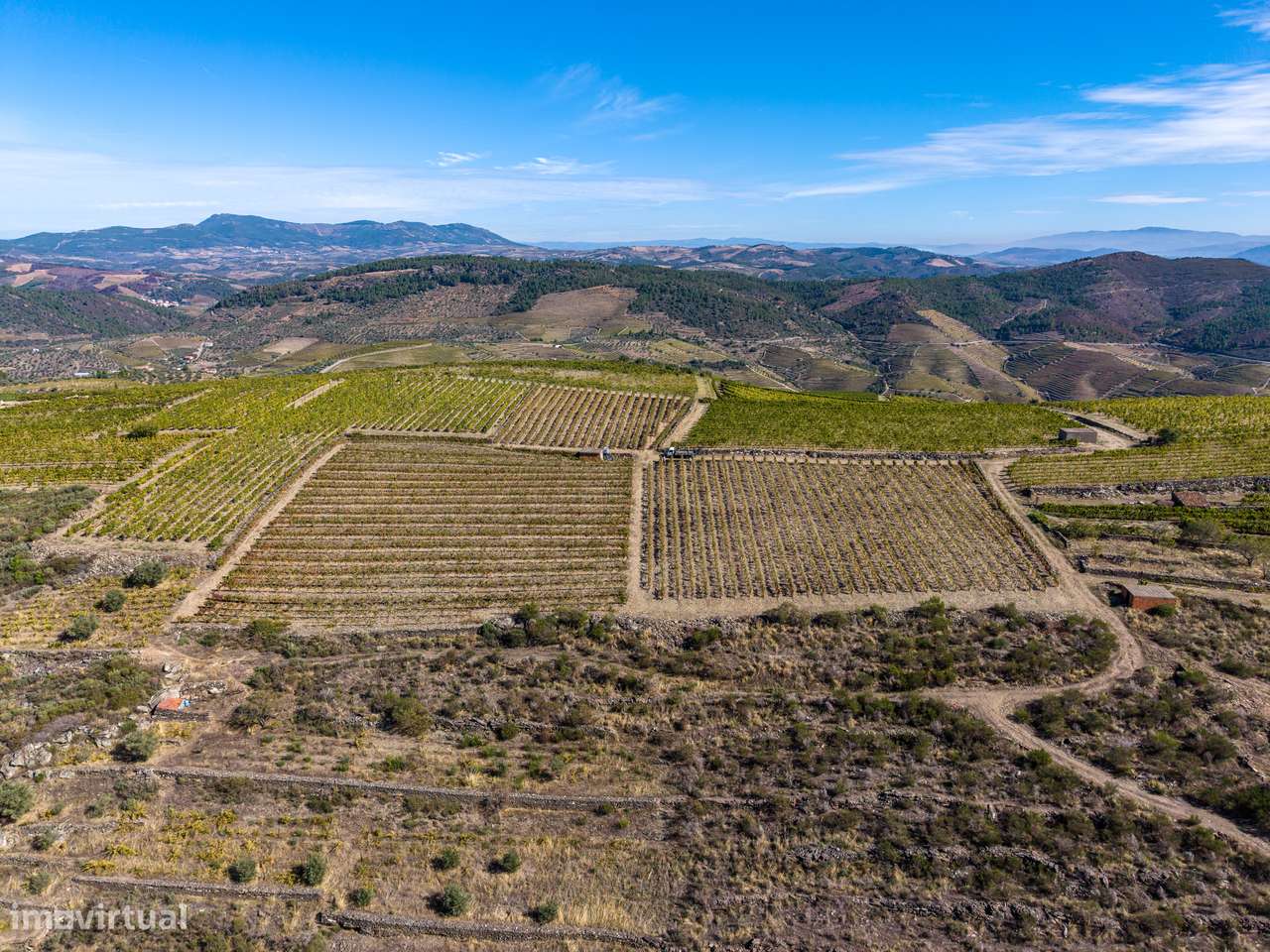 VINHA À VENDA EM MURÇA – REGIÃO DEMARCADA DO DOURO-15