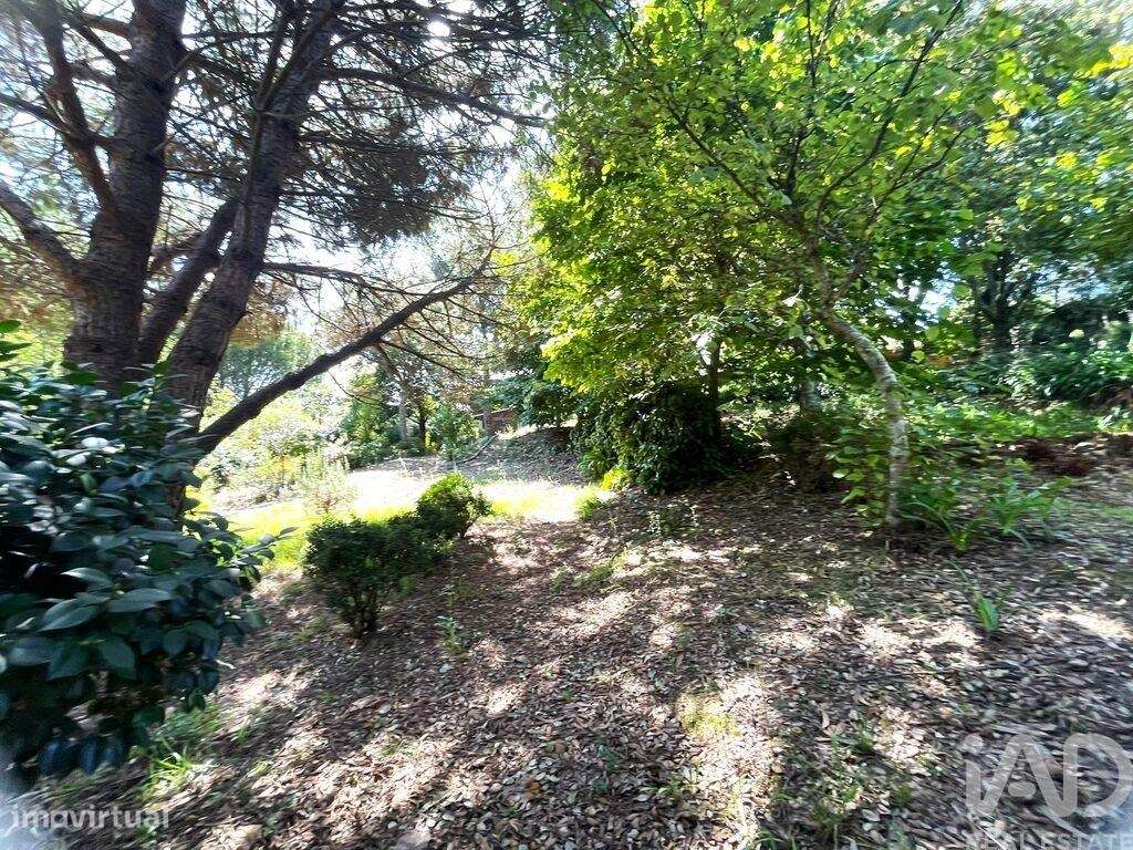 Terreno para construção em Durrães E Tregosa de 300,00 m2 - Grande imagem: 5/9